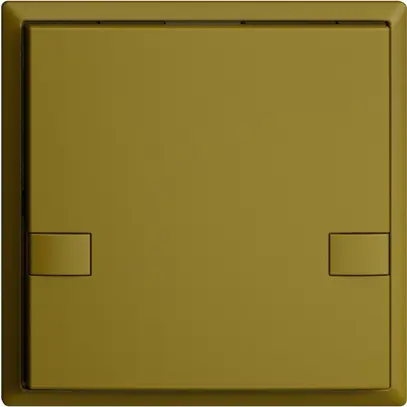 Poussoir ENC KNX 1× EDIZIOdue colore olive RGB sans LED 