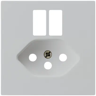 Plaque frontale kallysto pour prise 2×USB & T13 gris clair 