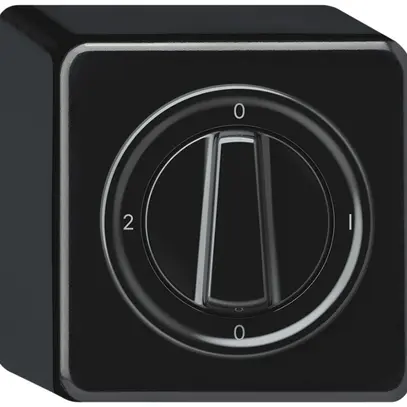 Interruttore rotativo AP origin commutatore 2/1L 16A 250V 0-1-0-2 88×88×54mm ne 