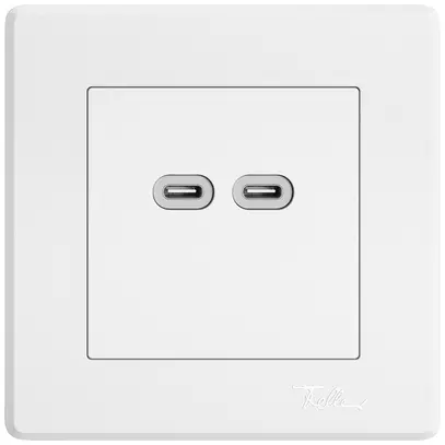 Presa di ricarica USB INC EDIZIO.liv SNAPFIX® 230VAC 18W 2×USB C bi 