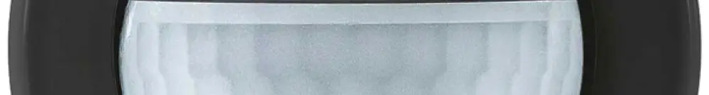 Détecteur de présence INC SWISSLUX PD2 S 180 C Master 2C SF STANDARDdue noir 