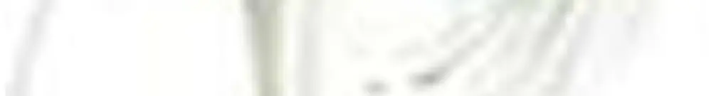 Cordone a tirante SOLFA 1.5m bianco 