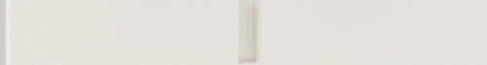 Intestazione NUP Feller NEVO, 2×1, per apparecchi N.CO, bianco 