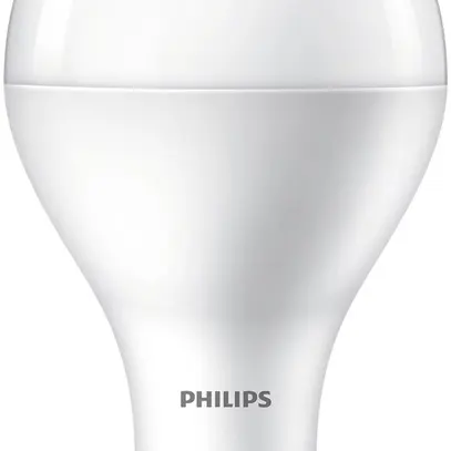 Lampada LED CorePro Bulb E27 A110 30…200W 230V 827 3450lm, opale 