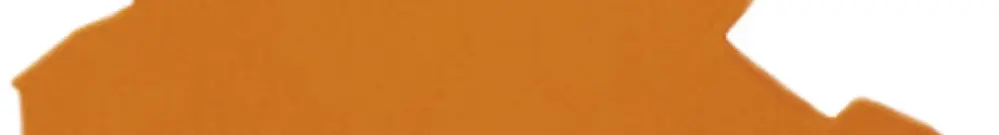 Plaque terminale/intermédiaire WAGO TopJob-S 0.7mm pour série 2002, orange 