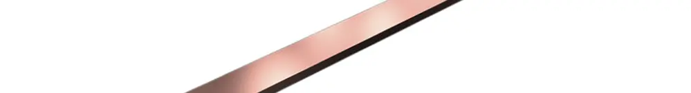 Conducteur plat Rittal SV 9686.540 cuivre E-Cu 900×40×10mm 2pcs 