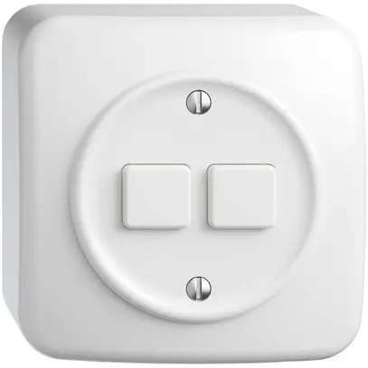 Stazione sec.interr.AP STANDARDdue Wiser SNAPFIX® 2 canali 2 tasti WLAN bi 