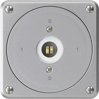 Interrupteur à clé carrée ENC robusto sans clapet 0/3P aluminium combi 