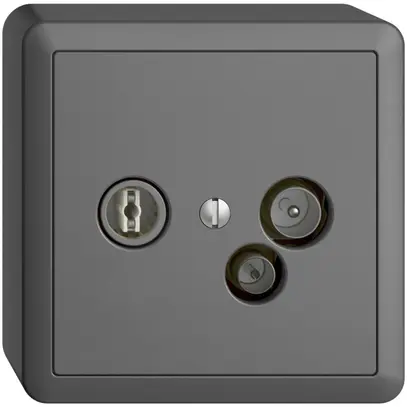 Presa dati AP TV-R DD04 5…65MHz EDIZIOdue grigio scuro 