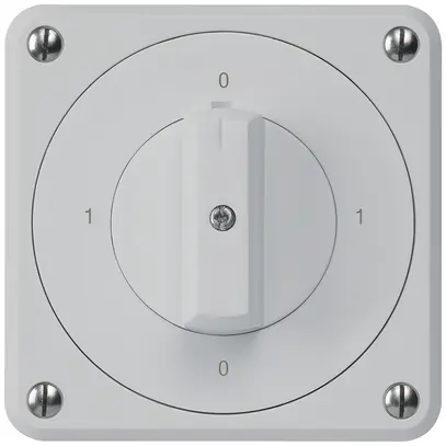 Interruttore rotativo INC robusto IP55 S0/1P grigio per combinazione 