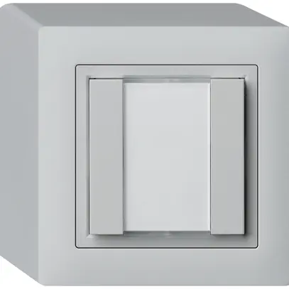 Poussoir universel AP 2×kallysto sans LED gris clair 