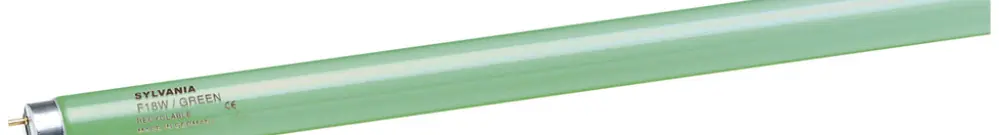 Lampe fluorescente F T8 G13 36W vert 
