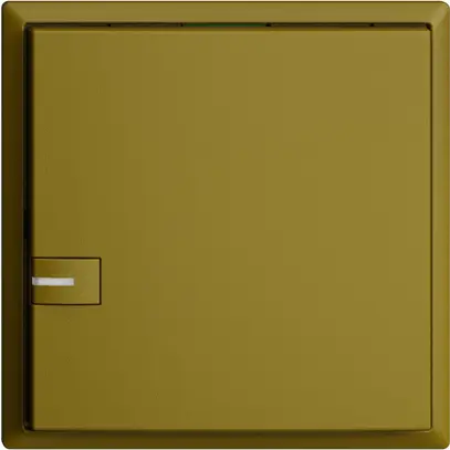 Poussoir ENC KNX 1× EDIZIOdue olive RGB avec LED 