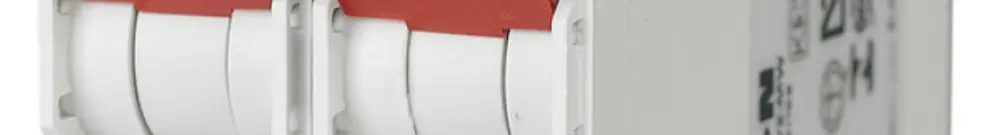 Disgiuntore PLSM-B10 2L 