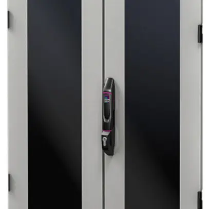 Porte Rittal DK 5301.438 800×2200mm pour VX IT porte à regard gris IP55 