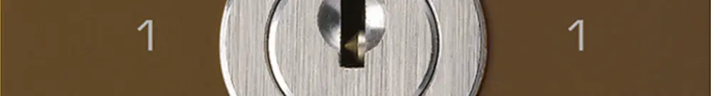 Intérieur interrupteur à clé kallysto 0/1L brun avec serrure Kaba 8 