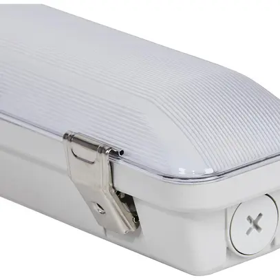Luminaire p.locaux humides LED DOTLUX MISTRAL 37W 4860lm 840 IP66 640×100mm gris 