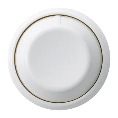 Variateur universel basico coupure de phase ascendante avec LED blanc 