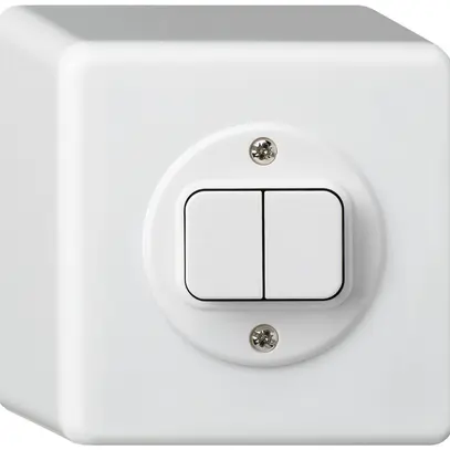 Interrupteur AP basico 3+3 blanc 