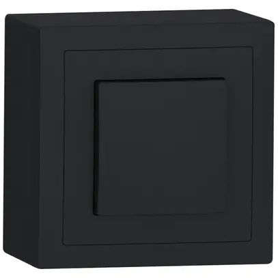 Interrupteur AP SIDUS A 3/1L anthracite 