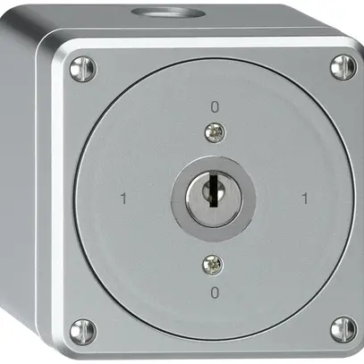 Interrupteur à clé AP robusto sans clapet 0/1P aluminium 