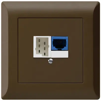 Boîte ENC DSL kallysto.line 1×RJ45/1×T+T brun 