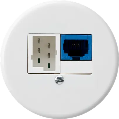 Insert pour boîte ENC DSL basico 1×RJ45/1×T+T blanc 