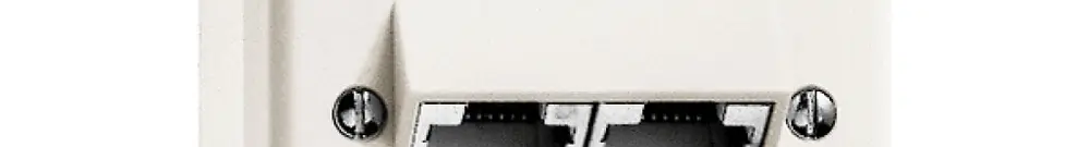 Scatola di raccordo AP X 2RJ45 separato bianco 