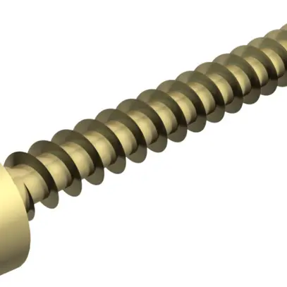 Vis à bois à tête ronde spéciale Bettermann 5×30mm zingué 