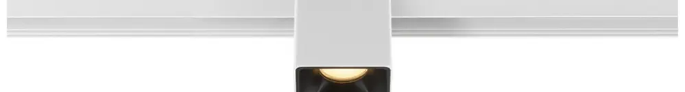 Spot LED SLV FIXT-IT Surface 7W 865lm 930 36° DALI 48V AD square bi/ne 