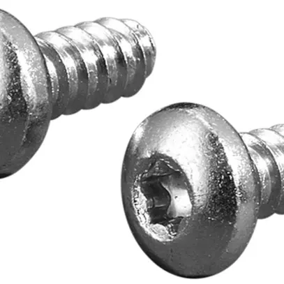 Vis Rittal SZ 2486.400 13mm TX M5 tête semi-ronde 300pcs 