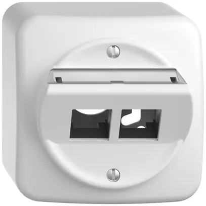 Kit de montage AP STANDARDdue EASYNET S-One SNAPFIX® incliné pour 2×RJ45 bc 