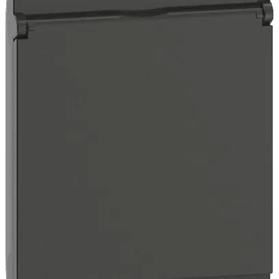 Copertura Living Now 2 moduli per presa Schuko/FR/BE c.coperchio a cerniera nero 