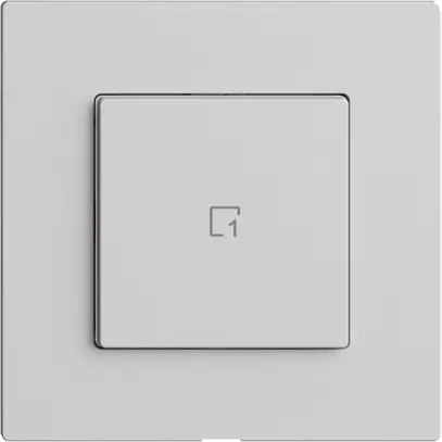 Poussoir scène 1 scène/1T WLAN Edue Wiser gris clair 
