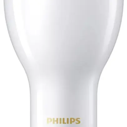 Lampe LED Philips Trueforce E27 36W 5300lm 2700K Ø91.5×248mm mat 