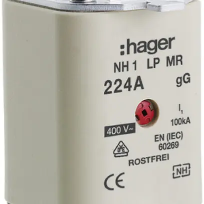 Fusibile HPC Hager DIN1 400VAC 224A gG/gL segnalatore centrale inossidabile 