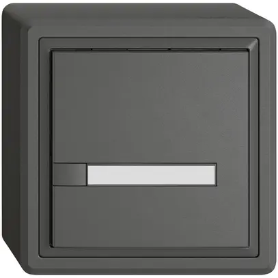 Poussoir KNX RGB AP EDIZIO.liv SNAPFIX® capteur temp.s.LED étiqu.1× comm.1T grf 