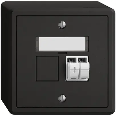 Prise audio AP EDIZIO.liv SNAPFIX® 1× no 