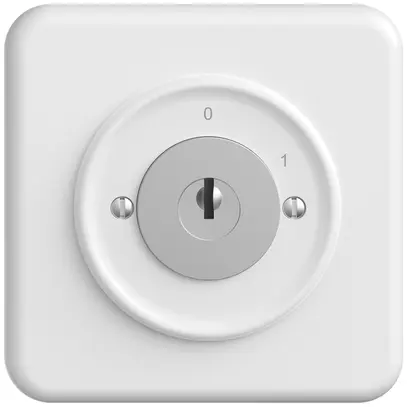 UP-Schlüsselschalter STANDARDdue m.KABA 1007F/5000 Ausschalter 2P 0-1 T=57mm ws 