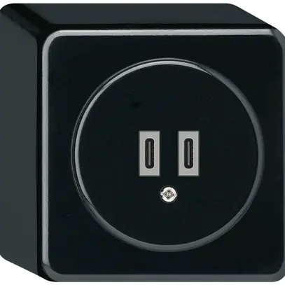 Prise de charge USB AP Hager basico C-C 20W 5V 86×86mm noir 