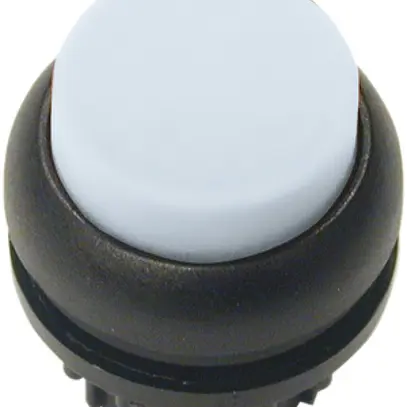 Pulsante luminoso ETN RMQ alto bianco, ad imp., anello nero 