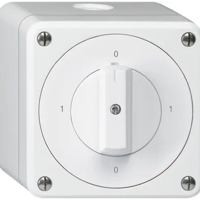 Interrupteur rotatif AP robusto IP55 schéma 0/1P blanc 