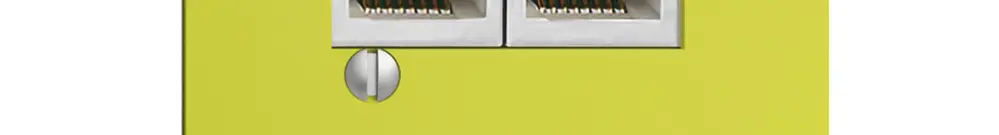 Boîte 2×RJ45/s 8P par.EDIZIOdue lemon R&M swissline 