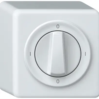 Interruttore rotativo AP origin interruttore 0/3L 16A 250V 0-I-0-I 88×88×54mm bi 