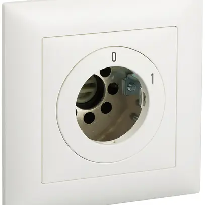 Interrupteur ENC s.cylindre EDUE 2P, IP20, 0-1, ret.12, blanc 