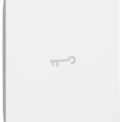 Coperchio tasto Living Now 2 moduli illuminabile con simbolo chiave bianco 