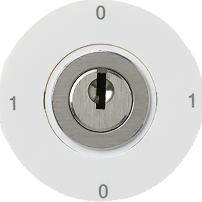Inserto per interruttore a chiave INC 0/1L bianco basico 