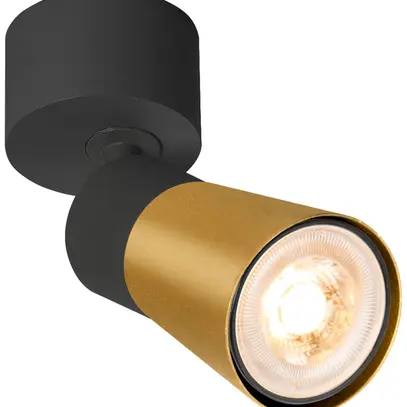 Spot SLV PURI 2.0 Cone CW GU10 1×6W VAR Ø55×123×97mm noir/or 