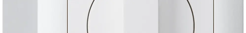 AP-Schwenktaster 1->0<-2 weiss kallysto mit Drehgriff 