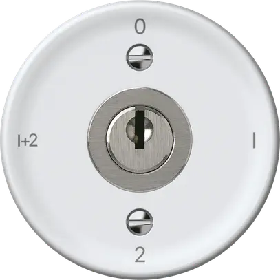 Interruttore a chiave origin comm.serie 1/1L 16A 250V 0-1-2-1+2 60×60mm bi 
